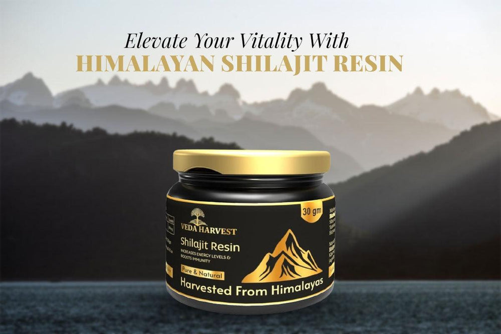 10 Benefits of Himalayan Shilajit Resin You Should Know