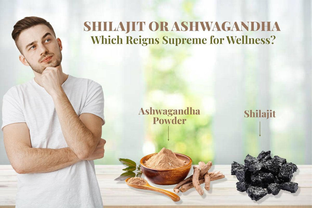 Shilajit Vs Ashwagandha.Which Is More Effective?