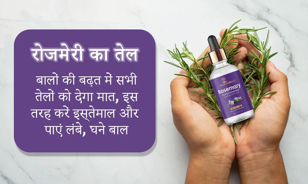 रोजमेरी का तेल: बालों की बढ़त में सभी तेलों को देगा मात, इस तरह करें इस्तेमाल और पाएं लंबे, घने बाल