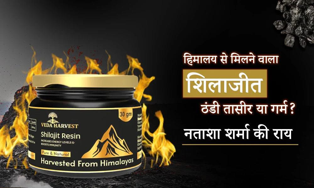 हिमालय से मिलने वाला शिलाजीत: ठंडी तासीर या गर्म? डॉ. नताशा शर्मा की राय