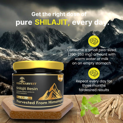 Veda harvest Himalayan Shilajit Resin 30gm