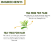 tea tree ingredients