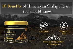 10 Benefits of Himalayan Shilajit Resin You Should Know