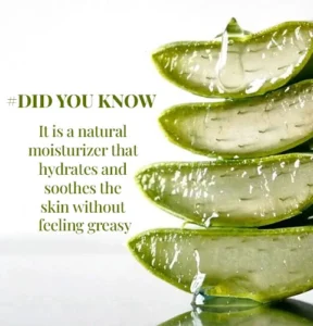 how to make aloevera gel at home, home remedy to make aloevera gel, best aloevera gel at home, top 10 aloevera gel in india, benefits of using aloevera gel on skin, can aloevera gel helps in reducing pimples