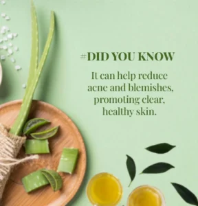 green tea leaves and aloevera face pack or mask, can we skin toner at home, diy to make green tea face mask at home