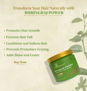 benefits of using bhringraj powder for hair, does bhringraj helps your hair in regrowth, usage of bhringraj powder, best bhringraj powder